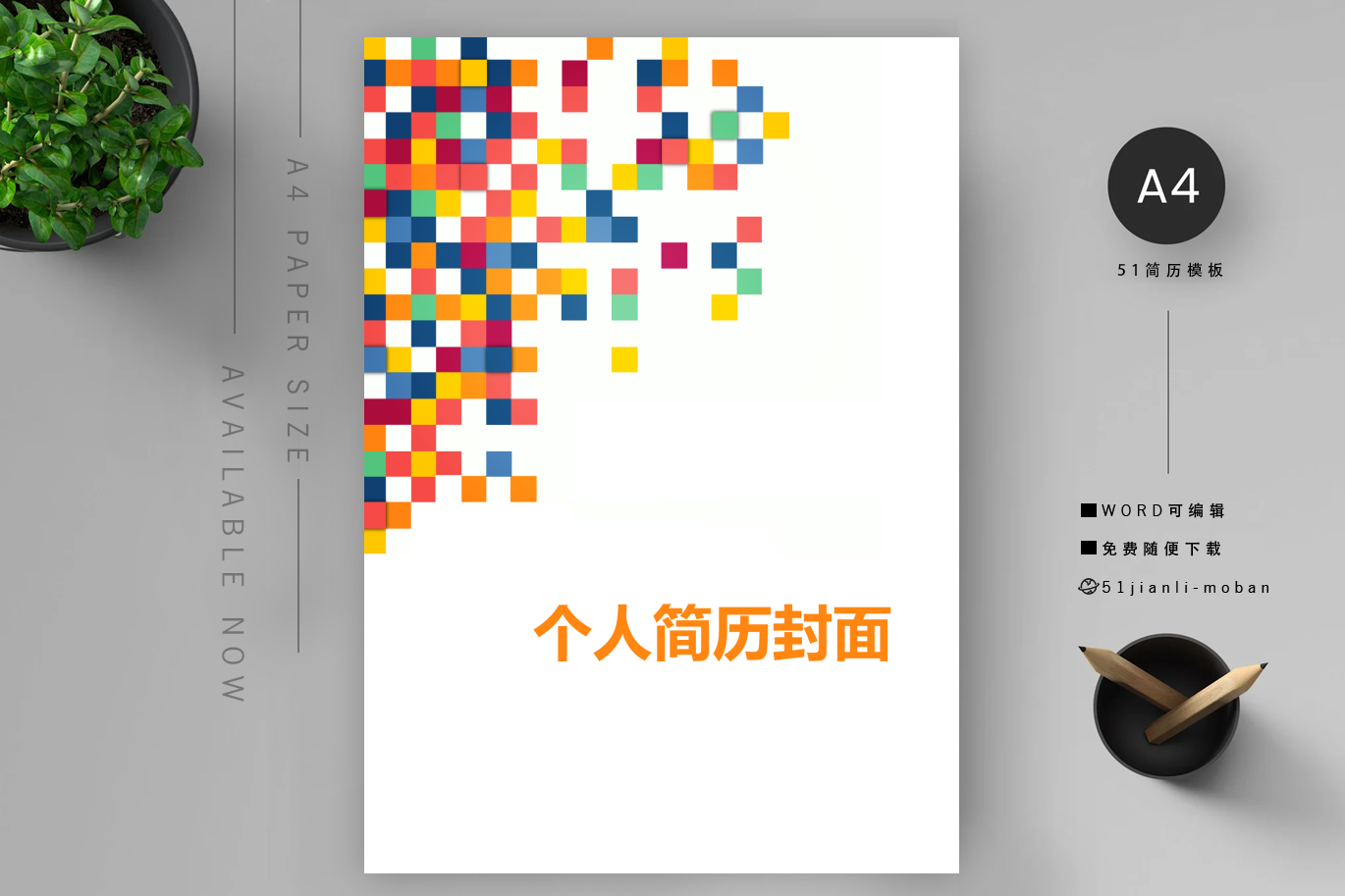 融资运营专员
