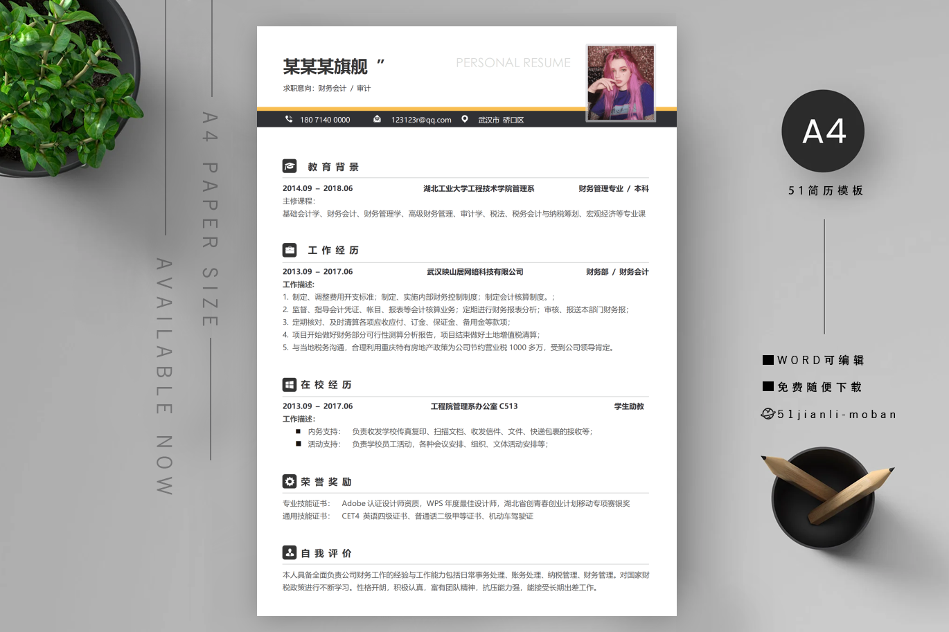 财务会计简历模板免费下载(精选5篇)