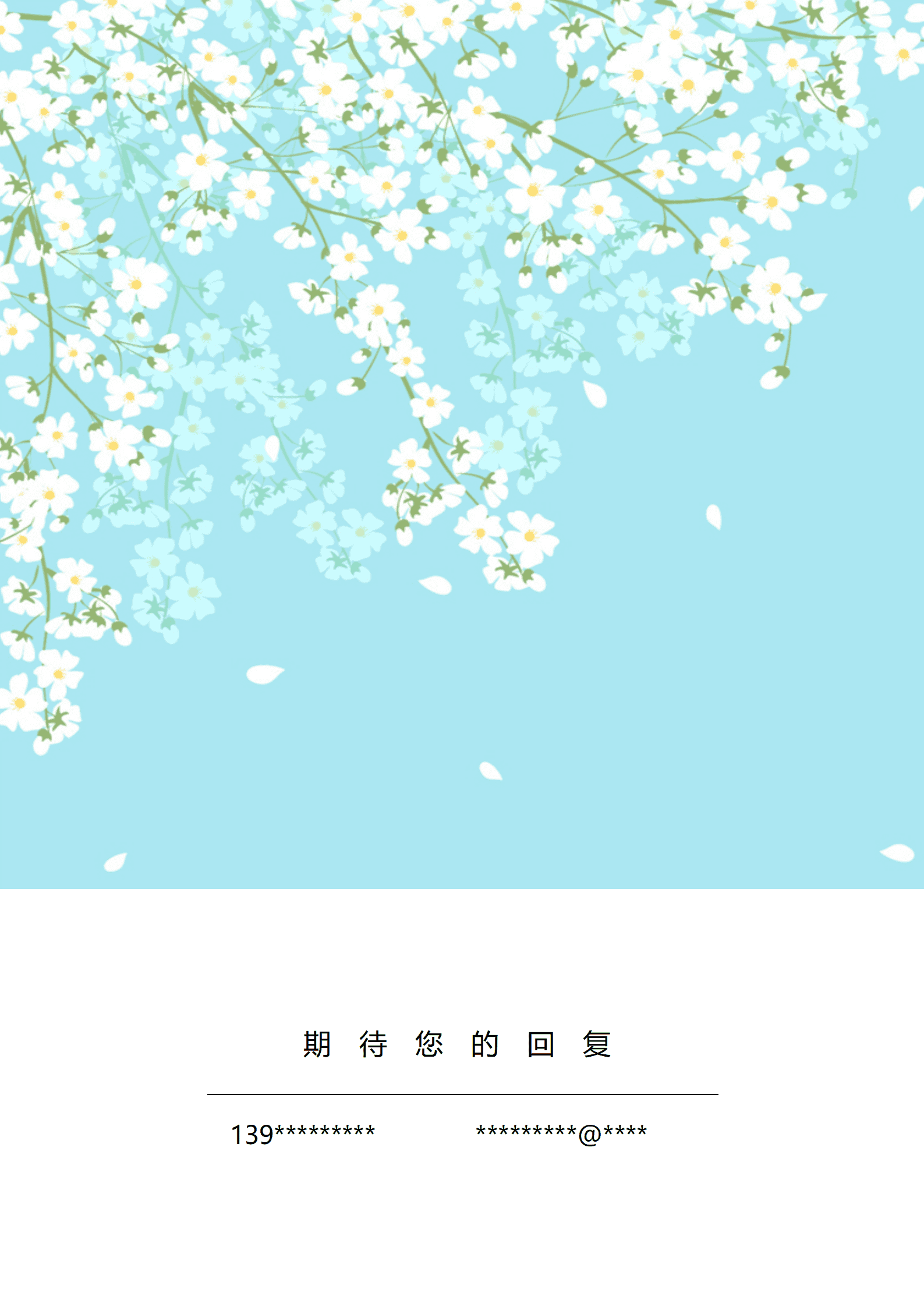 BYDS-0060带照片简历封面/