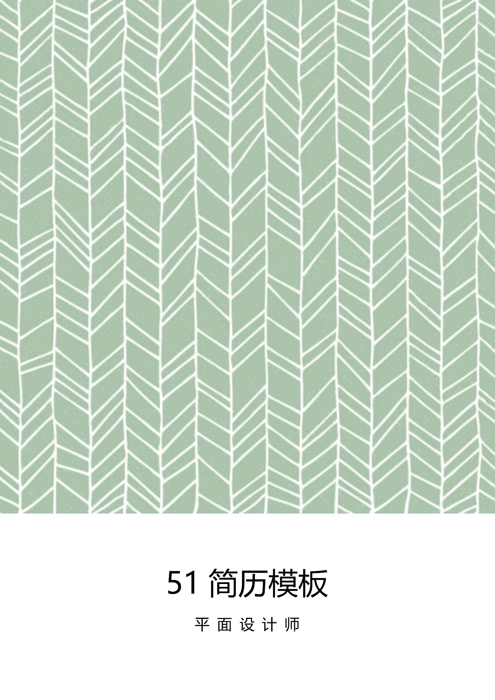 BYDS-00252简历模板素材多页/