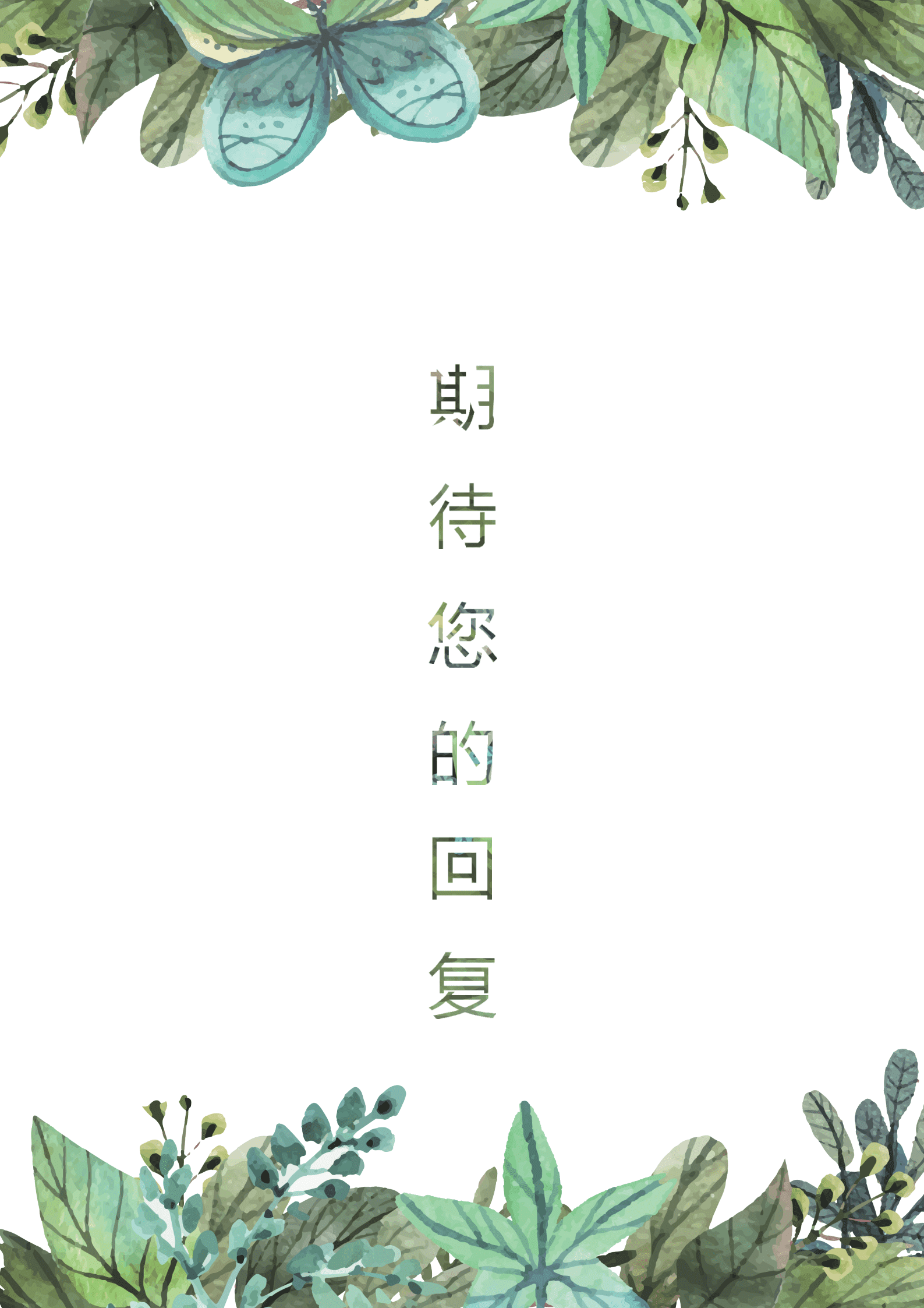 BYDS-00269简历三页模板/