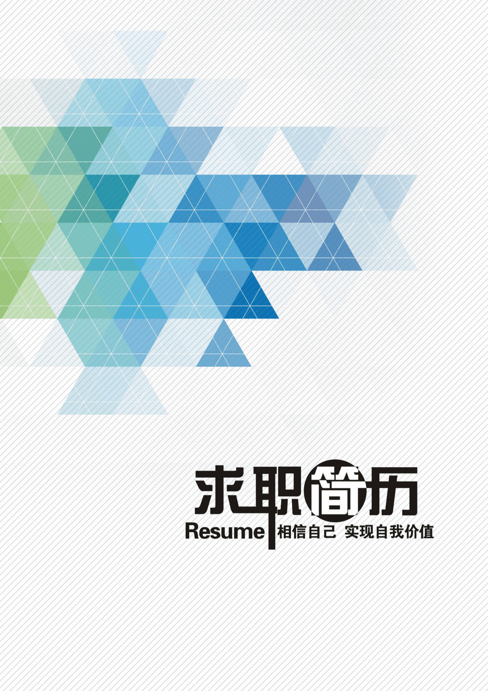 BYDS-00173化工简历模板多页/