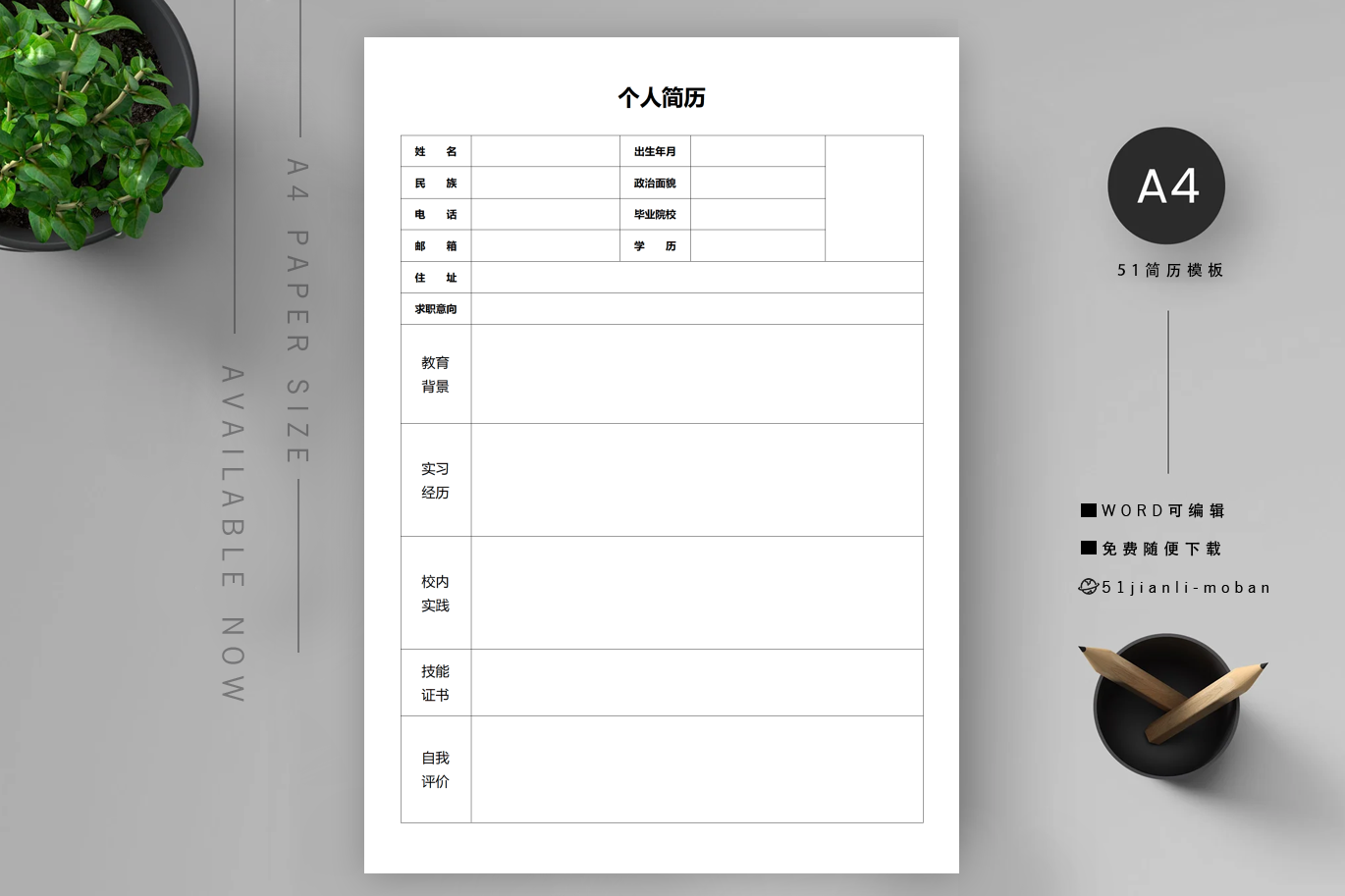 音乐教师(7篇)