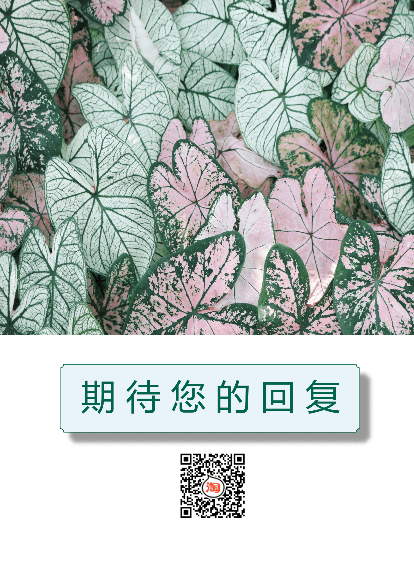 BYDS-00119个人简历带封面的模板/