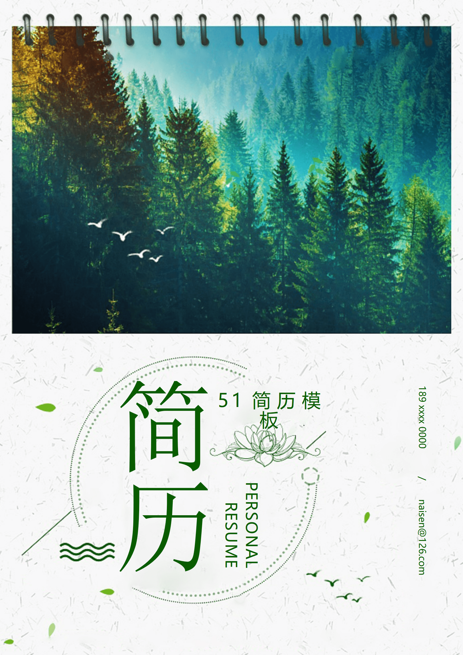 BYDS-00383三页式简历模板/