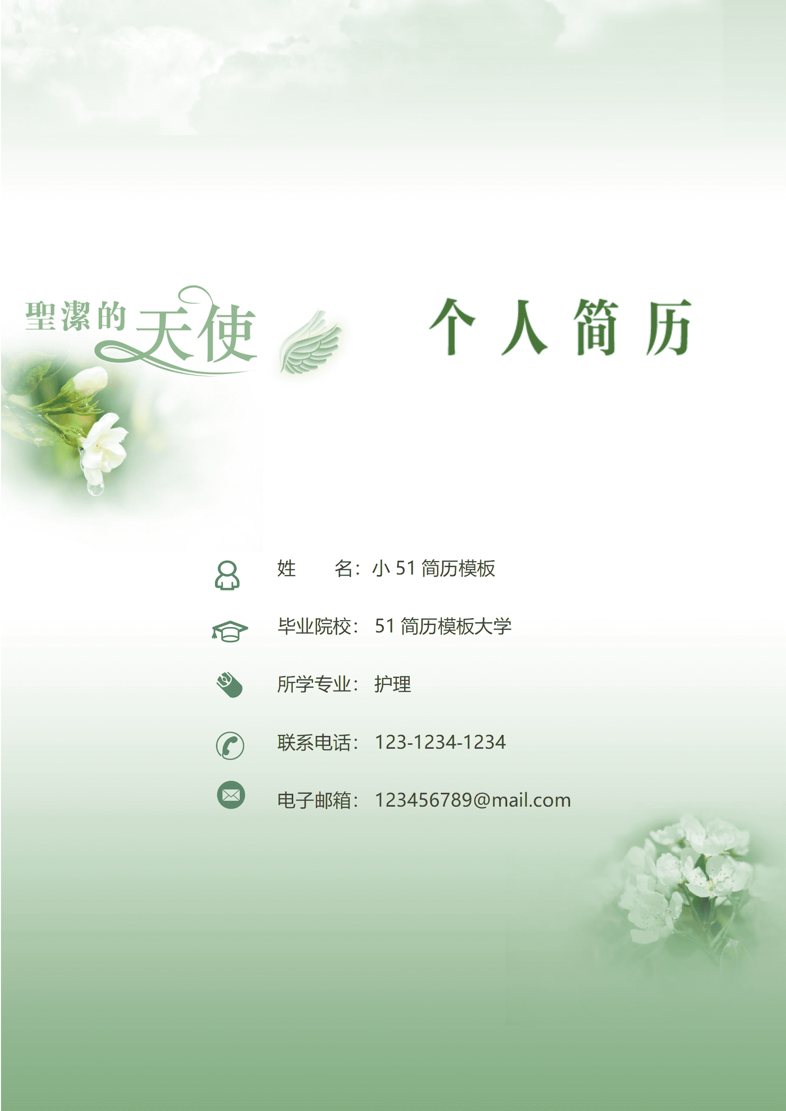 JYDE-00055护士一套的免费简历模板/