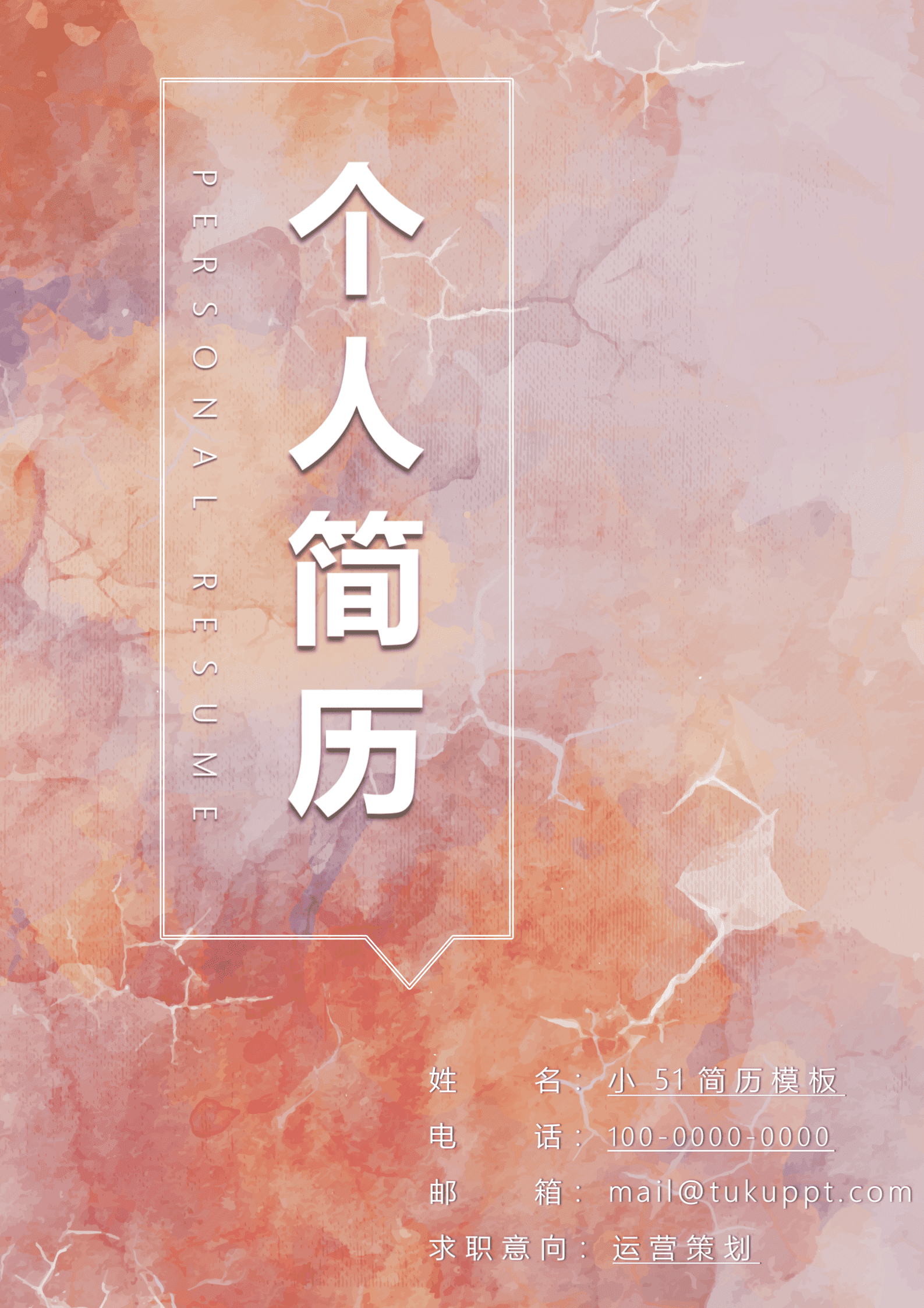 JYDS-000135运营策划免费简历模板/