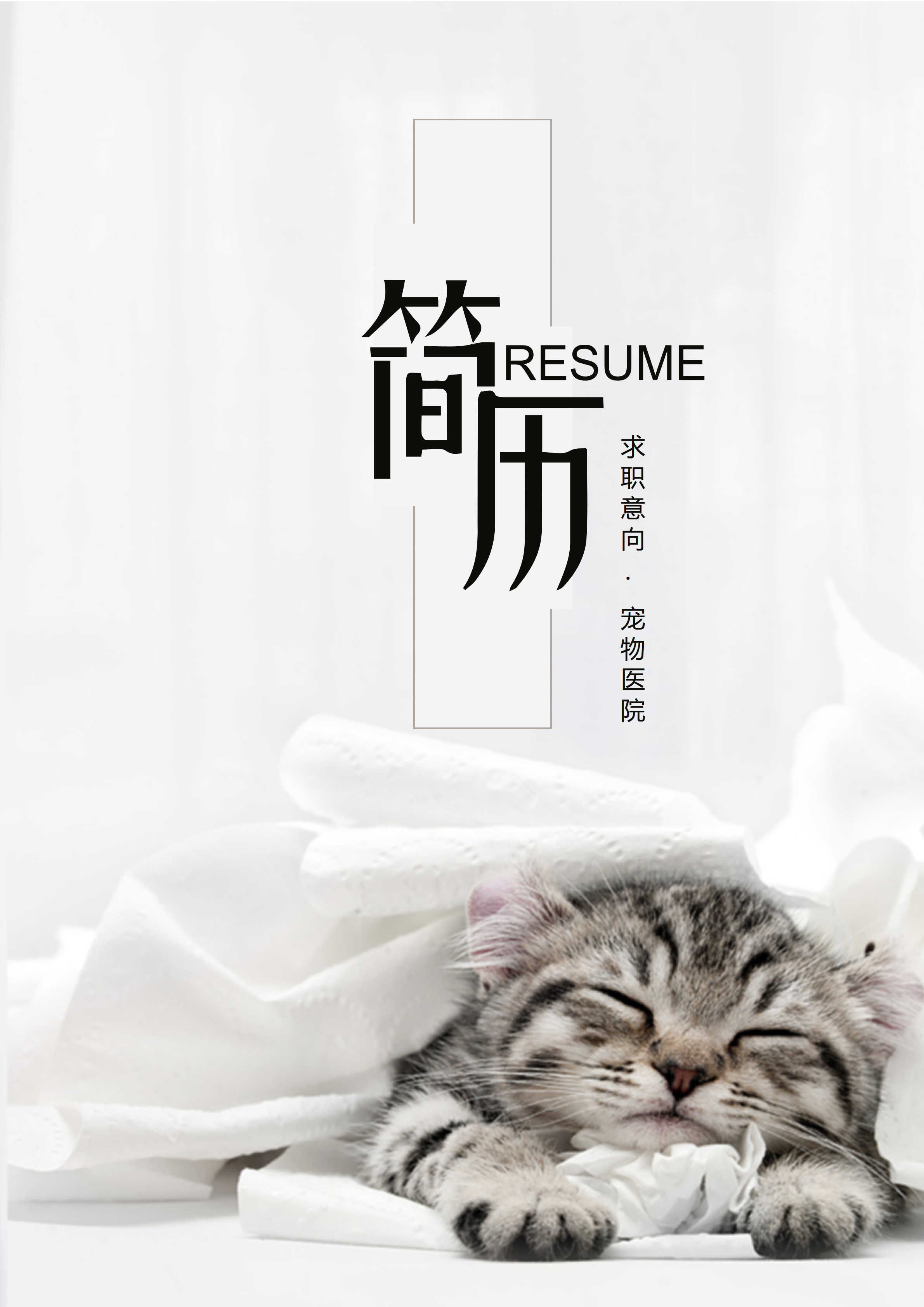 GN-0043呆萌小猫宠物医生个人简历套装/